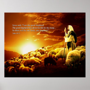 “I am the good shepherd. John 10:11 Poster
