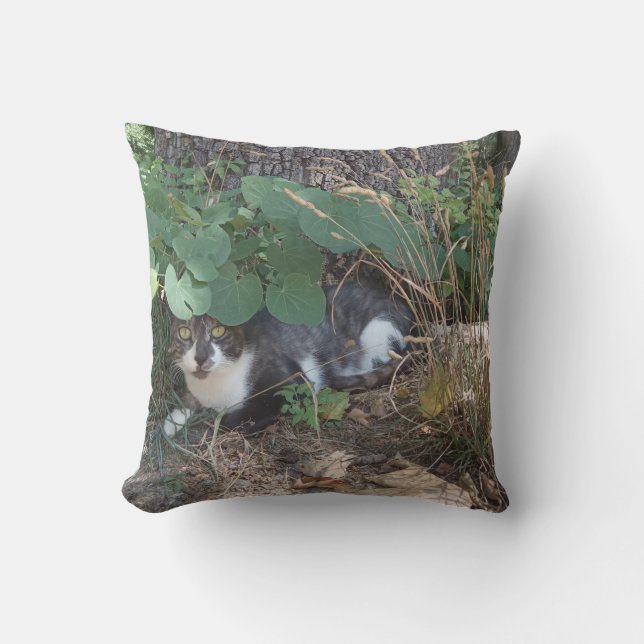 I am the invisible cat cushion (Front)