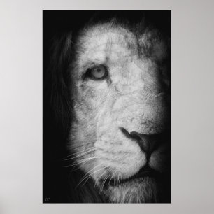 I am the king! poster