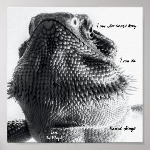 "I am the lizard king" Black and White Lizard Poster