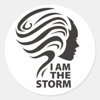 I am the Storm stickers
