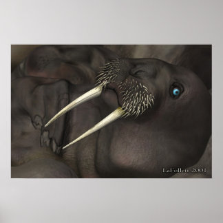 I Am The Walrus Poster