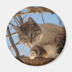 I am Up Here Magnet