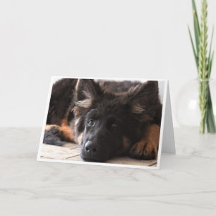 I am watching you card