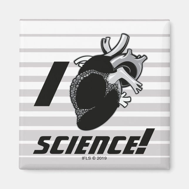I (Anatomical Heart) Science Magnet (Front)