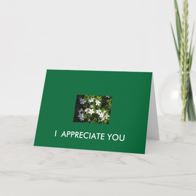I  APPRECIATE YOU CARD (Front)