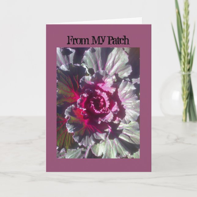 I Art and Designs, Cabbage Flower Fall Cards (Front)