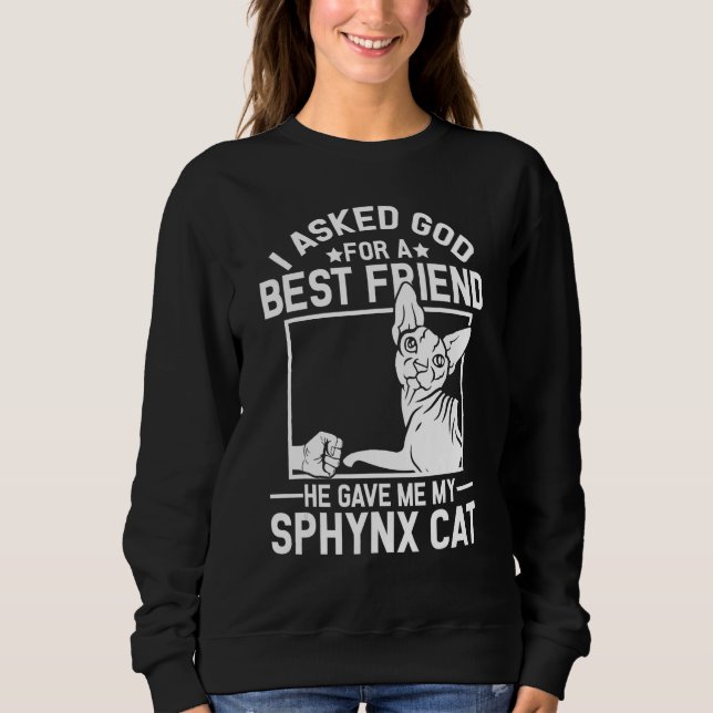 I Asked God For A Best Friend  Sphynx Cat Mom Sweatshirt (Front)