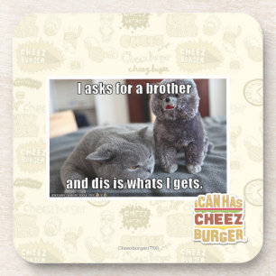I asks for a brother coaster