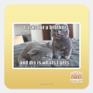 I asks for a brother square sticker
