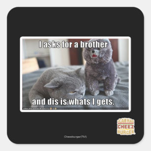 I asks for a brother square sticker