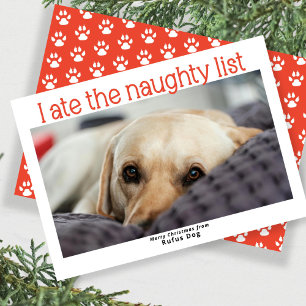 I Ate The Naughty List Dog Christmas Photo Holiday Card