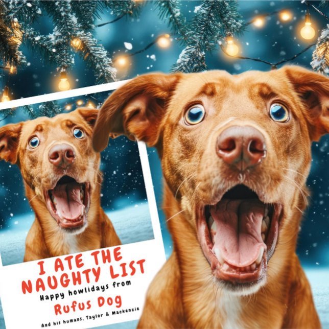 I Ate The Naughty List Dog Christmas Photo Holiday Card (I Ate The Naughty List Dog Christmas Photo Holiday Card by Ricaso. Add your own photo and text.)