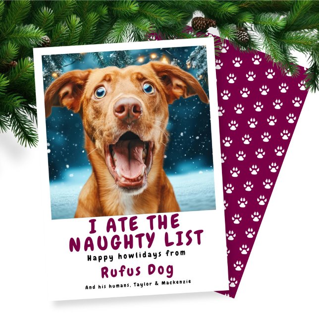 I Ate The Naughty List Dog Christmas Photo Holiday Card (I Ate The Naughty List Dog Christmas Photo Holiday Card
by Ricaso. Funny dog themed holiday cards)