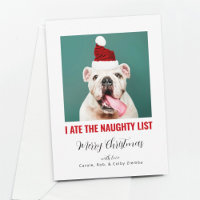 I Ate the Naughty List Funny Pet Dog Cat Photo