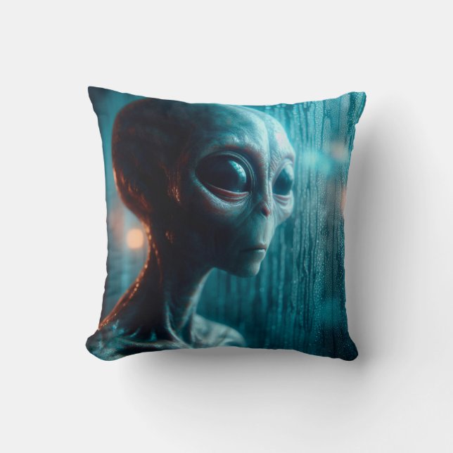 I believe cushion (Front)
