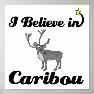 i believe in caribou poster