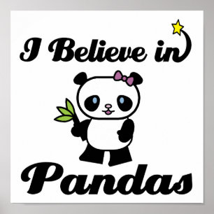 i believe in pandas poster
