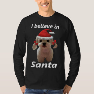 I Believe In Santa Shih Tzu Dog T-Shirt