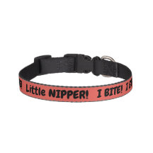I BITE! Little nipper warning!