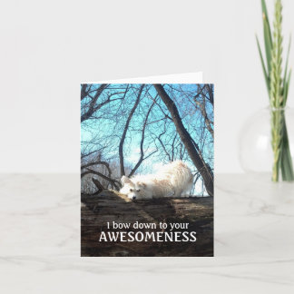 I Bow Down To Your Awesomeness (A Thank You Card) Card