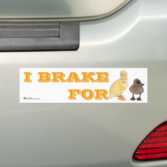 I Brake For Adorable Ducklings Photo Personalised Bumper Sticker (On Car)