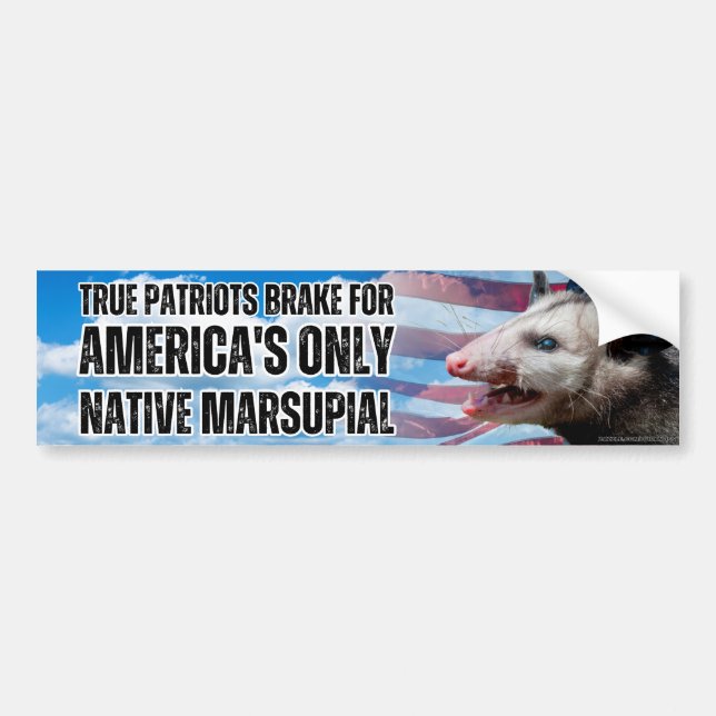 I brake for America's only native marsupial, Funny Bumper Sticker (Front)