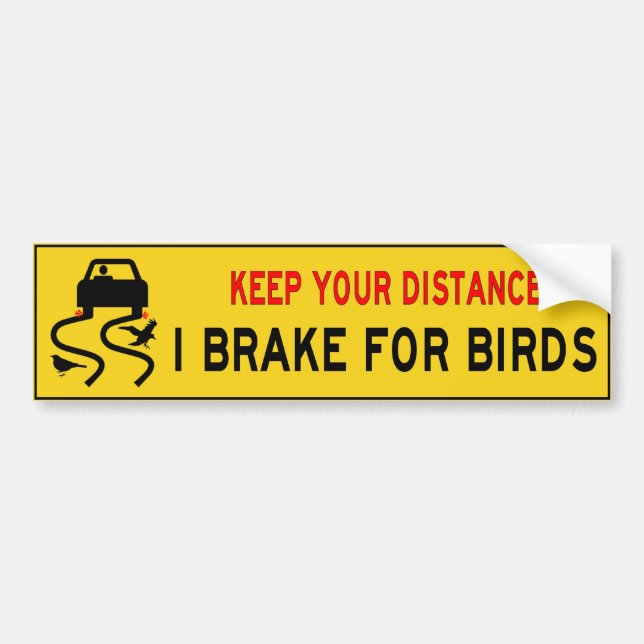 I brake for birds bumper sticker (Front)