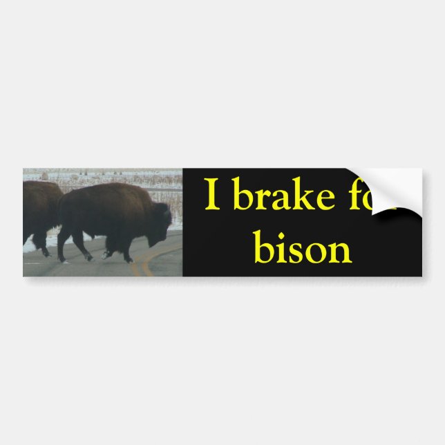 I brake for bison bumper sticker (Front)