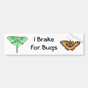 I Brake for Bugs Bumper Sticker