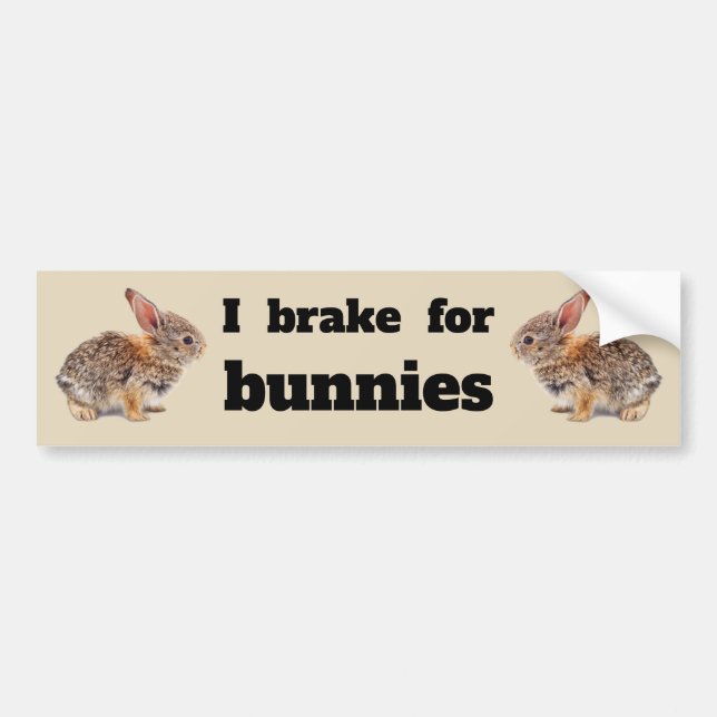 I Brake for Bunnies Bumper Sticker (Front)