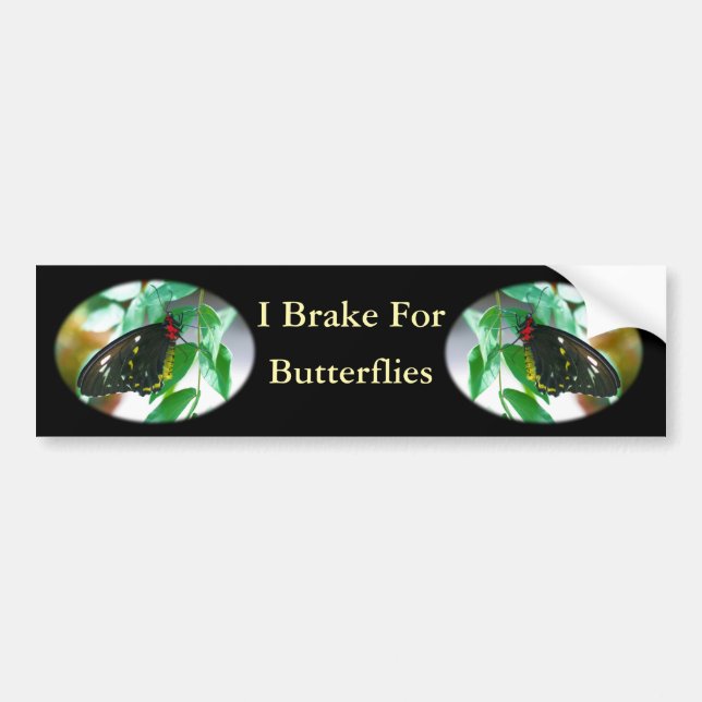 I Brake For Butterflies Nature Bumper Sticker (Front)