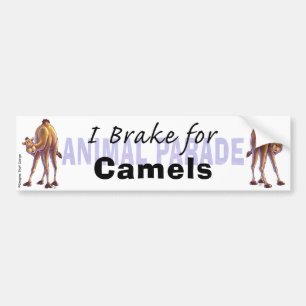 I Brake for Camels Bumper Sticker