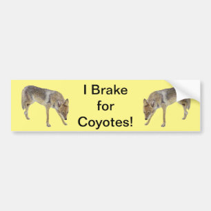 I Brake For Coyotes Bumper Sticker