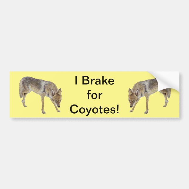 I Brake For Coyotes Bumper Sticker (Front)