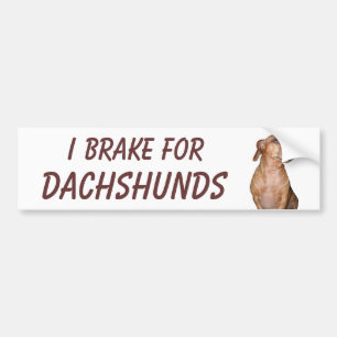 I BRAKE FOR DACHSHUNDS BUMPER STICKER