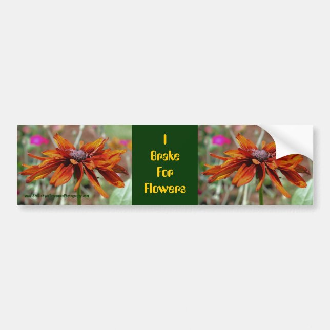 I Brake For Flowers Daisy Bumper Sticker (Front)