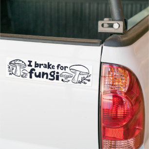 I BRAKE FOR FUNGI Cute Mushrooms Foraging Nature Bumper Sticker