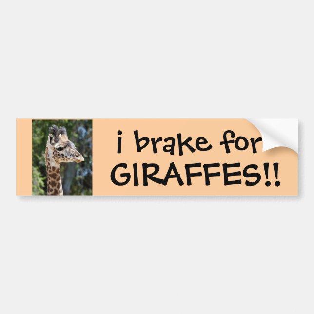 i brake for GIRAFFES! cute Bumper Sticker (Front)