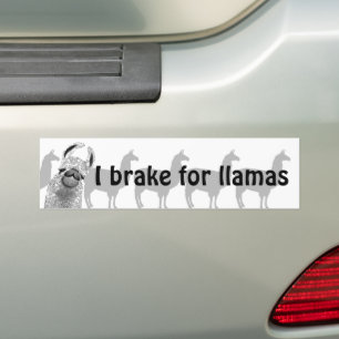 I Brake for Llamas Bumper Sticker