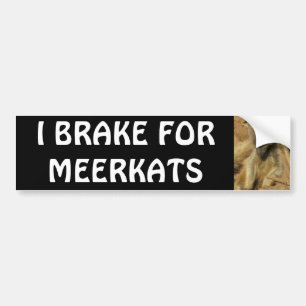 I BRAKE FOR MEERKATS BUMPER STICKER