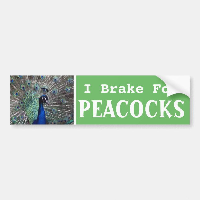 I Brake For PEACOCKS Bumper Sticker (Front)