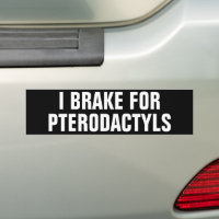I BRAKE FOR PTERODACTYLS