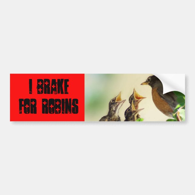 I brake for Robins Bumper Sticker (Front)
