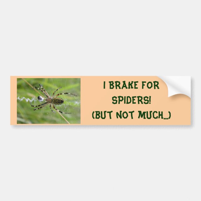 I BRAKE FOR SPIDERS (not much) bumper sticker (Front)