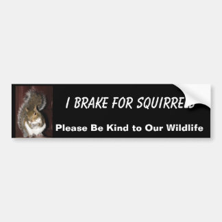 I Brake for Squirrels bumper sticker