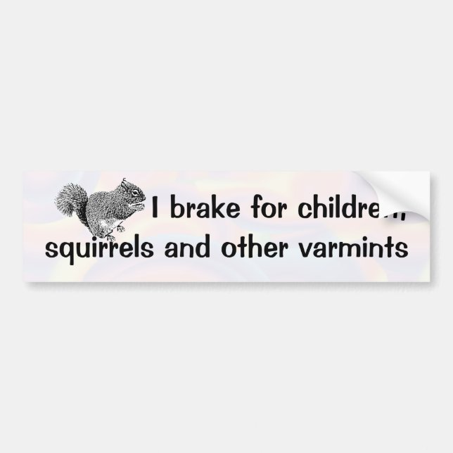 I brake for squirrels bumper sticker (Front)