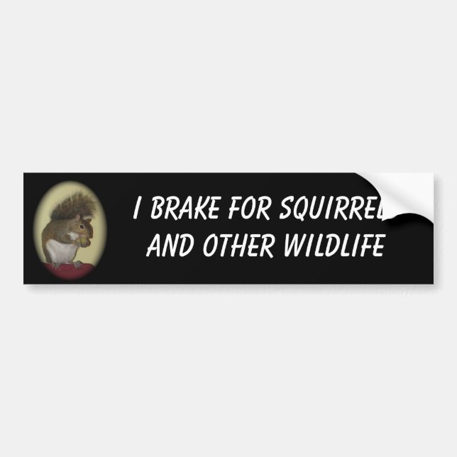 I Brake for Squirrels bumper sticker (Front)