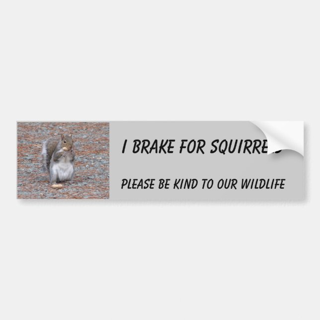 I Brake for Squirrels Bumper Sticker (Front)