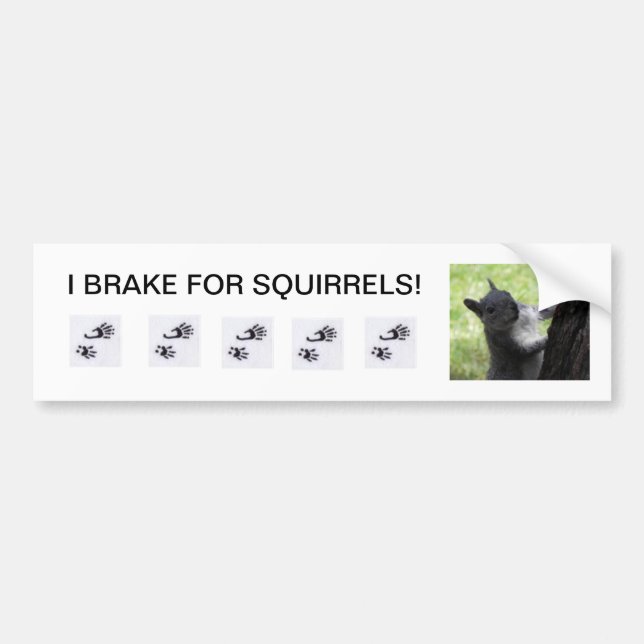 I BRAKE for Squirrels, bumper sticker. Sticker (Front)
